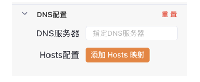 Yakit工具DNS配置与Hosts映射界面